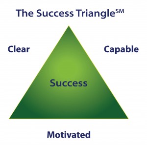 The Success Triangle, performance,